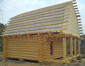 ���� ���� 5 �� 5 � ���� � �������� � ���������