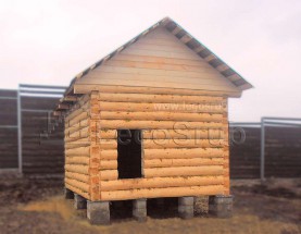 ���� ���� 3�6