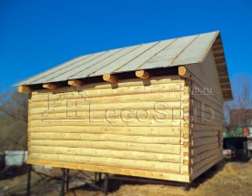 ���� ���� 5�6